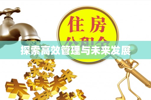 栖霞探索高效管理与未来发展