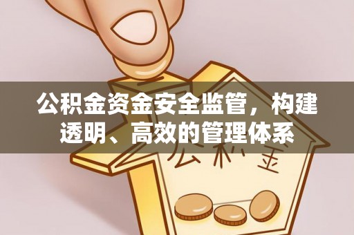 栖霞公积金资金安全监管，构建透明、高效的管理体系