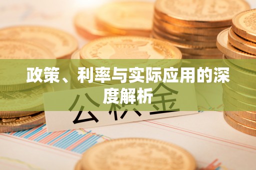 栖霞政策、利率与实际应用的深度解析