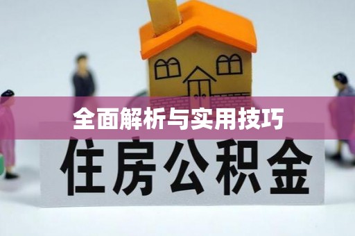 栖霞全面解析与实用技巧