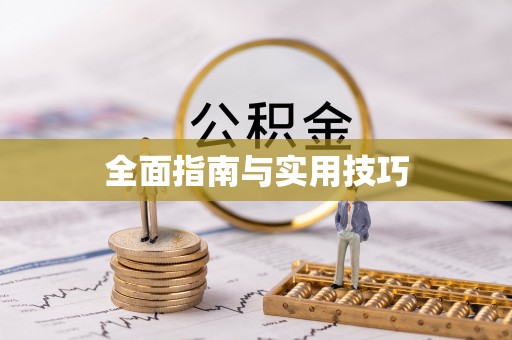 栖霞全面指南与实用技巧