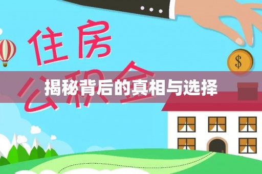 栖霞揭秘背后的真相与选择