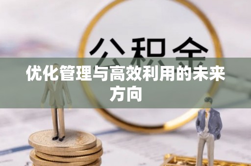 栖霞优化管理与高效利用的未来方向