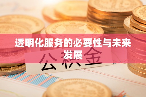 栖霞透明化服务的必要性与未来发展