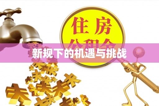 栖霞新规下的机遇与挑战