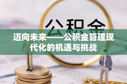 栖霞迈向未来——公积金管理现代化的机遇与挑战