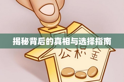 栖霞揭秘背后的真相与选择指南