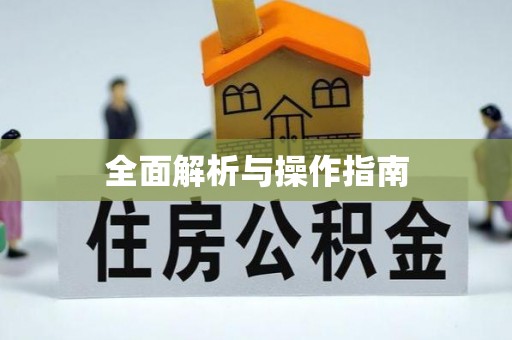 栖霞全面解析与操作指南