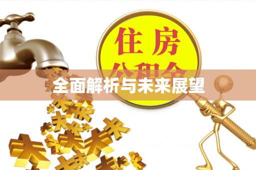 栖霞全面解析与未来展望