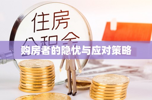 栖霞购房者的隐忧与应对策略