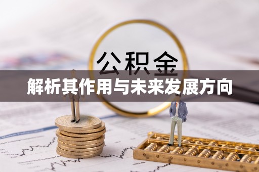 栖霞解析其作用与未来发展方向