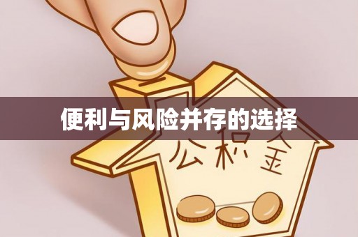 栖霞便利与风险并存的选择