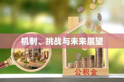 栖霞机制、挑战与未来展望