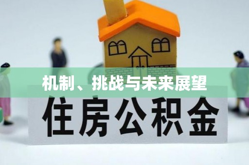 栖霞机制、挑战与未来展望