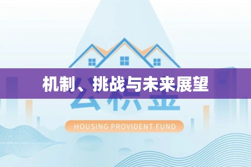 栖霞机制、挑战与未来展望